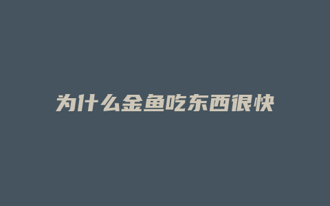 为什么金鱼吃东西很快