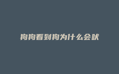 狗狗看到狗为什么会吠