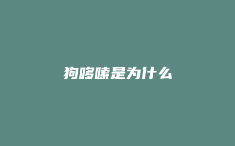 狗哆嗦是为什么