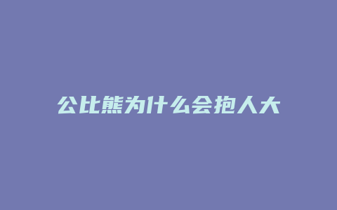 公比熊为什么会抱人大腿