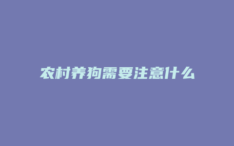 农村养狗需要注意什么手续