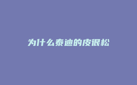 为什么泰迪的皮很松