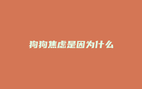 狗狗焦虑是因为什么