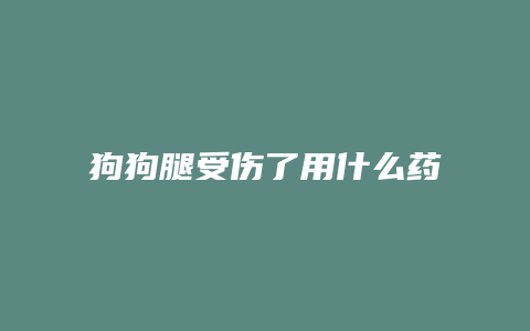 狗狗腿受伤了用什么药