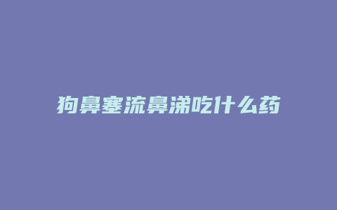 狗鼻塞流鼻涕吃什么药好