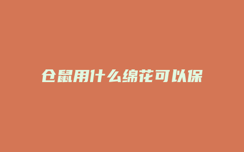 仓鼠用什么绵花可以保暖图片