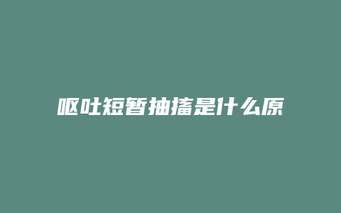 呕吐短暂抽搐是什么原因