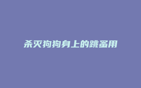 杀灭狗狗身上的跳蚤用什么滴剂好