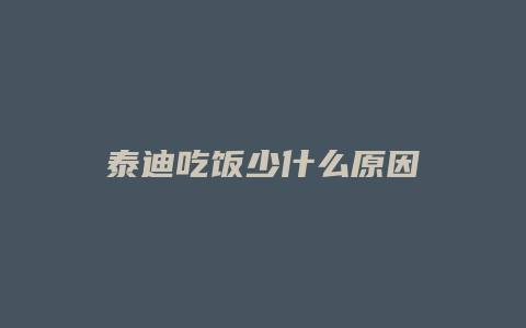 泰迪吃饭少什么原因