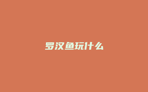 罗汉鱼玩什么