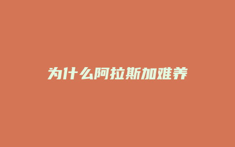 为什么阿拉斯加难养