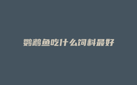 鹦鹉鱼吃什么饲料最好