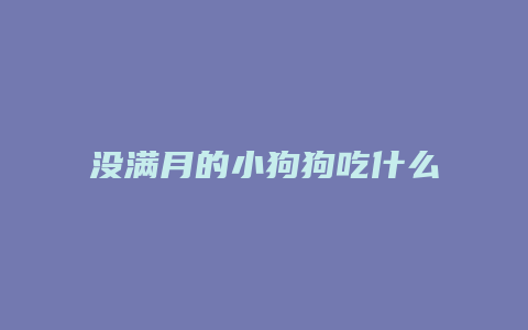 没满月的小狗狗吃什么