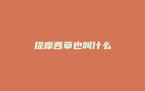 提摩西草也叫什么