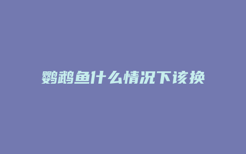 鹦鹉鱼什么情况下该换水