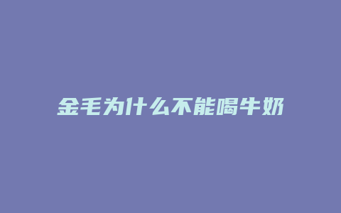 金毛为什么不能喝牛奶