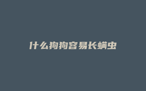 什么狗狗容易长螨虫