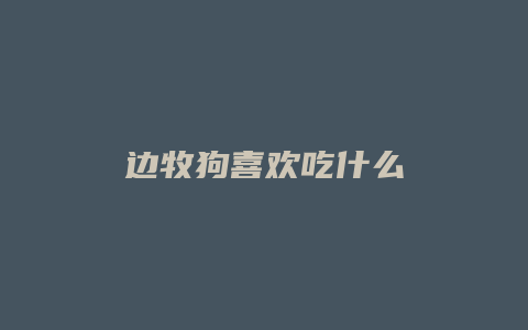 边牧狗喜欢吃什么