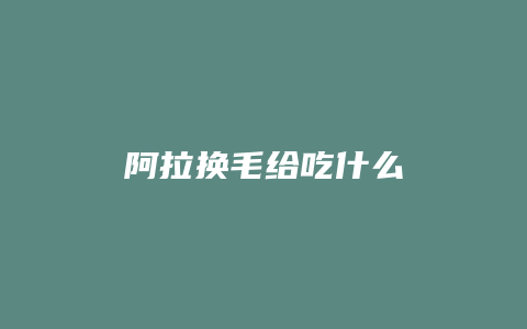 阿拉换毛给吃什么