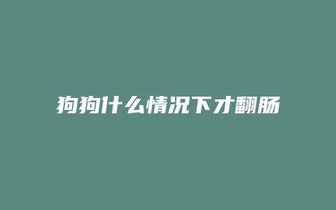 狗狗什么情况下才翻肠