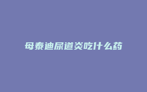 母泰迪尿道炎吃什么药