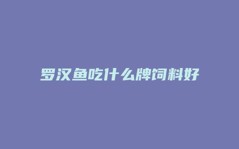 罗汉鱼吃什么牌饲料好1