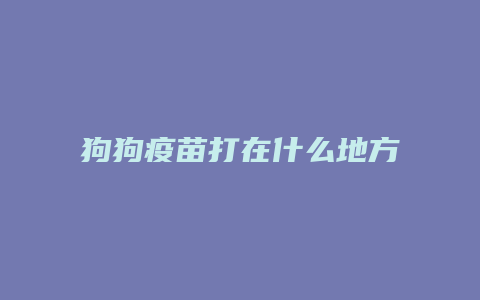 狗狗疫苗打在什么地方