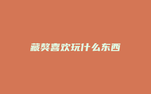 藏獒喜欢玩什么东西