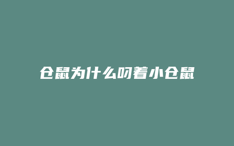 仓鼠为什么叼着小仓鼠跑