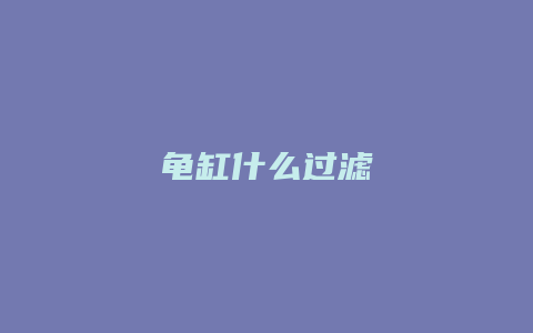 龟缸什么过滤