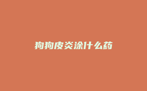 狗狗皮炎涂什么药