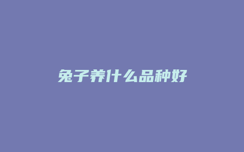 兔子养什么品种好