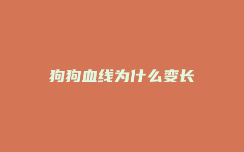 狗狗血线为什么变长