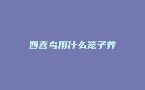 四喜鸟用什么笼子养