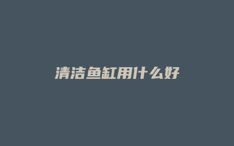 清洁鱼缸用什么好