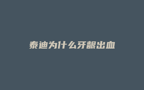 泰迪为什么牙龈出血