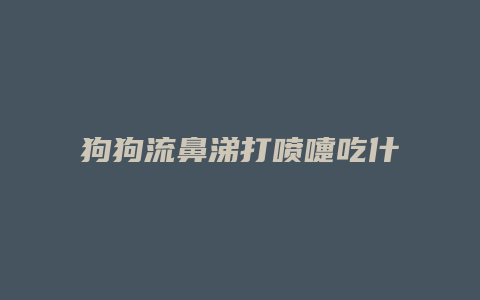 狗狗流鼻涕打喷嚏吃什么药