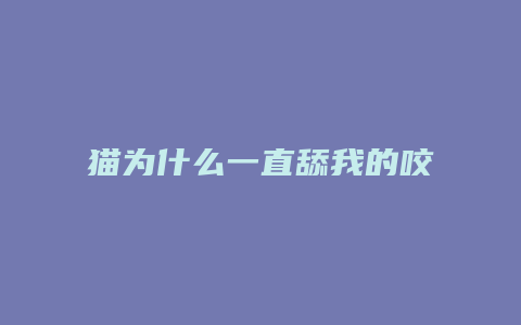 猫为什么一直舔我的咬