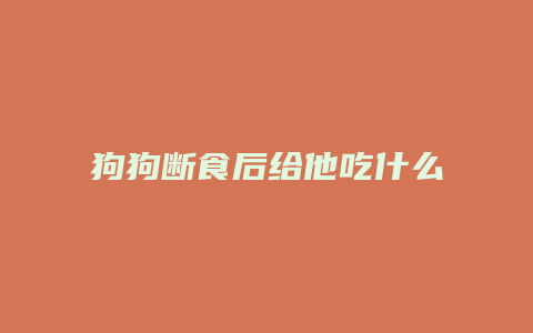 狗狗断食后给他吃什么