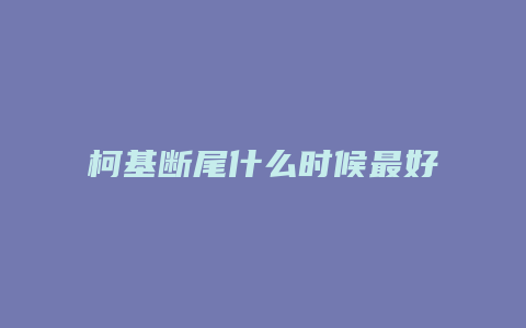 柯基断尾什么时候最好