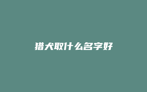 猎犬取什么名字好