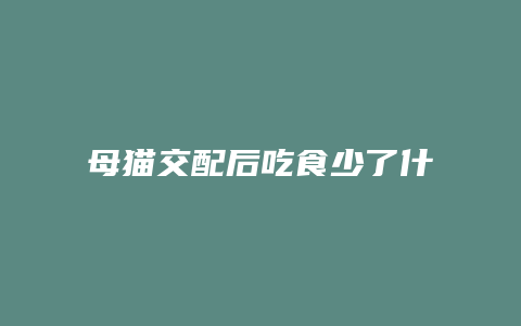 母猫交配后吃食少了什么原因