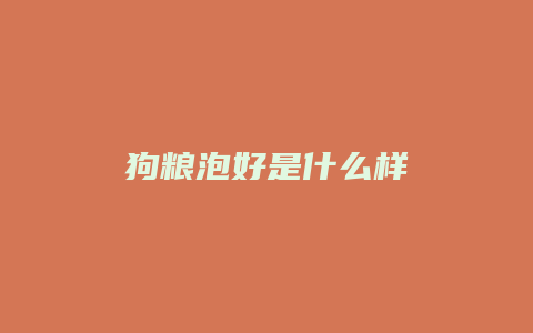 狗粮泡好是什么样