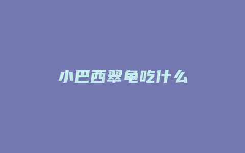 小巴西翠龟吃什么