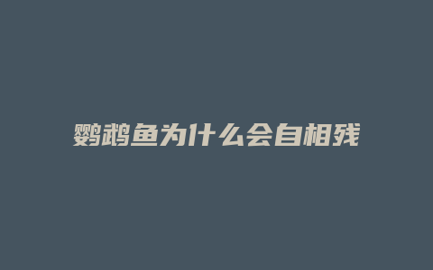 鹦鹉鱼为什么会自相残杀呢