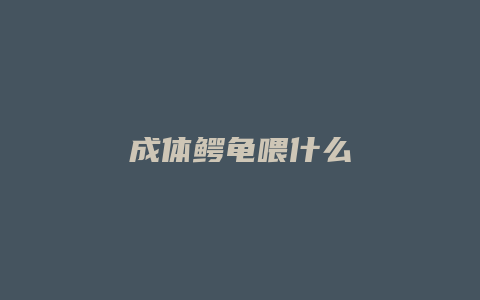 成体鳄龟喂什么