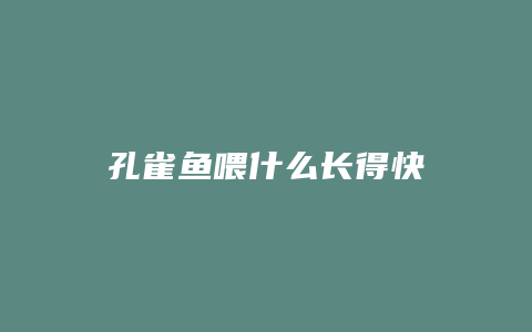 孔雀鱼喂什么长得快