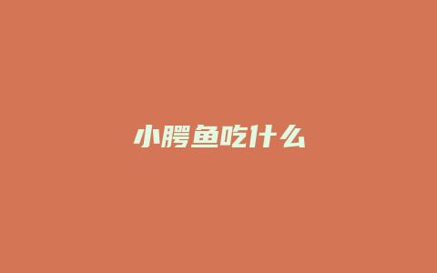 小腭鱼吃什么