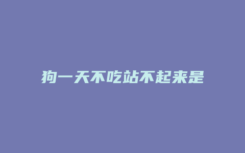 狗一天不吃站不起来是什么病