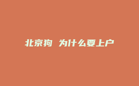 北京狗 为什么要上户口